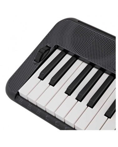 CASIO Teclado de acompañamiento con altavoces CT-S300 CASIOTONE