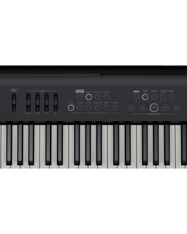 ROLAND FP-E50