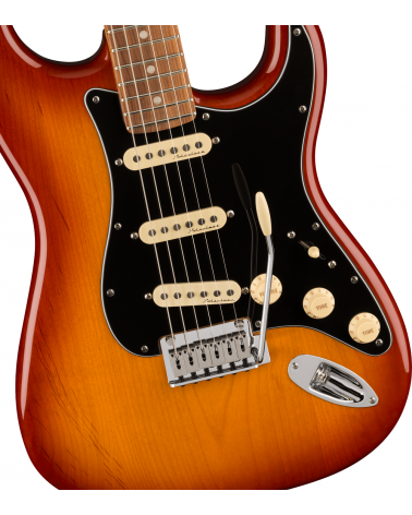 Fender Player Plus Stratocaster, Pau Ferro Fingerboard, Sienna Sunburst