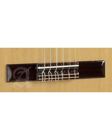 Alhambra 2C guitarra clásica con funda 9738