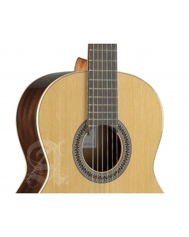 Alhambra 2C guitarra clásica con funda 9738