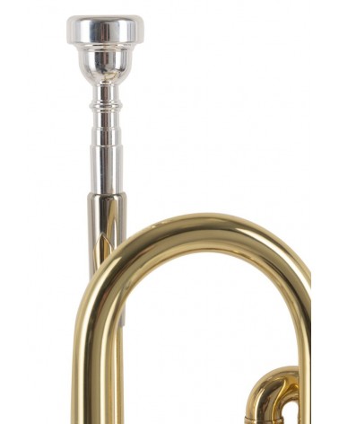 Trompeta J.Michael TR200 Lacada