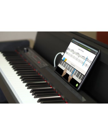 KORG Piano digital LP-380-RW U