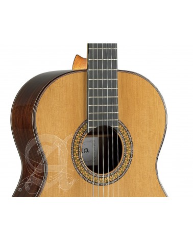Alhambra 9 P Guitarra Clásica con estuche
