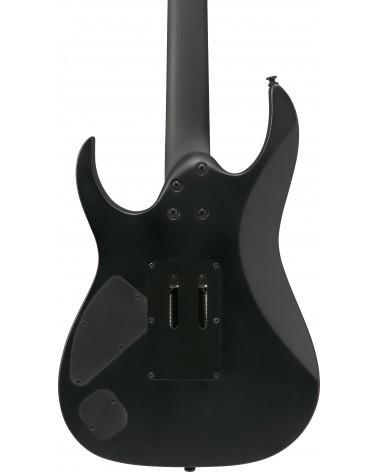 Ibanez Ironlabel RGRB620-BKF Black Flat