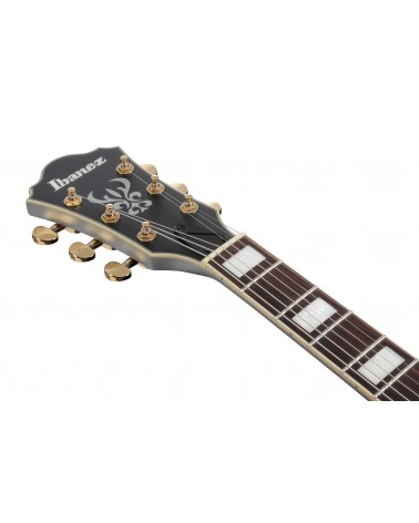 Ibanez Guitarra Hollow Body AS73GMSF