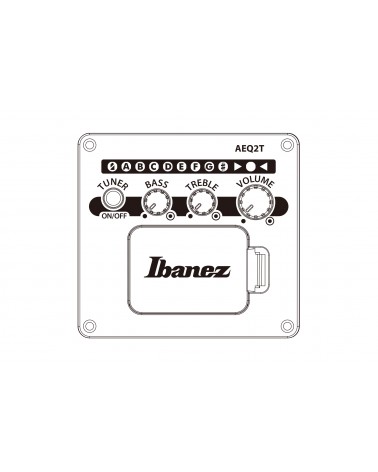 Ibanez V44CEWK Guitarra electroacústica WEATHERED BLACK OPEN PORE