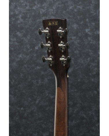 Ibanez PC12MHOPN Guitarra acústica
