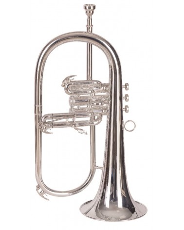 Fliscorno J.Michael FG550S Plateado