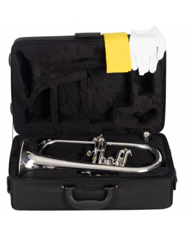 Fliscorno J.Michael FG550S Plateado