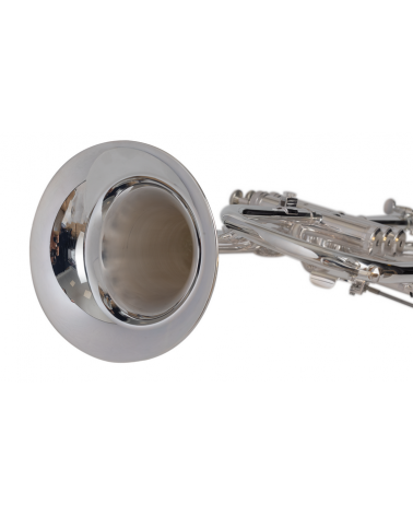 Fliscorno J.Michael FG550S Plateado