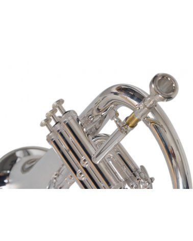 Fliscorno J.Michael FG550S Plateado