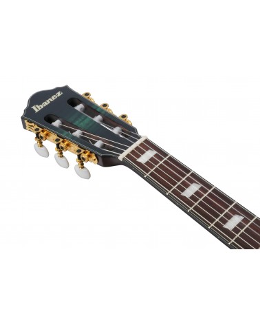 Ibanez FRH20FMN-DGL Guitarra Guitarra Nylon