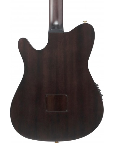 Ibanez FRH20FMN-DGL Guitarra Guitarra Nylon