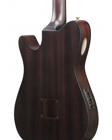 Ibanez FRH20FMN-DGL Guitarra Guitarra Nylon