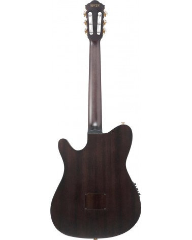 Ibanez FRH20FMN-DGL Guitarra Guitarra Nylon