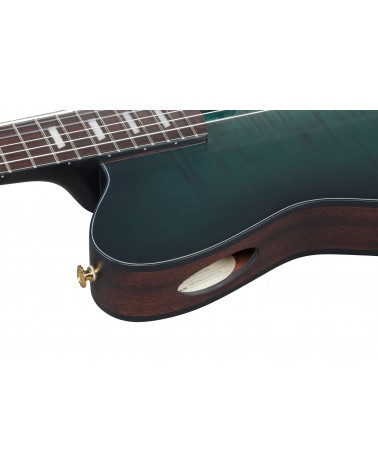 Ibanez FRH20FMN-DGL Guitarra Guitarra Nylon