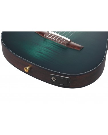 Ibanez FRH20FMN-DGL Guitarra Guitarra Nylon