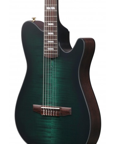 Ibanez FRH20FMN-DGL Guitarra Guitarra Nylon