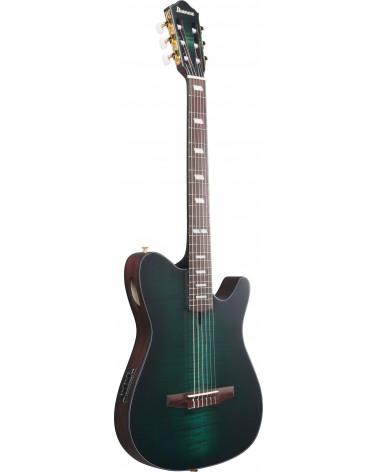 Ibanez FRH20FMN-DGL Guitarra Guitarra Nylon