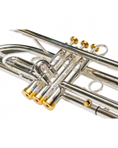 Trompeta Taylor Collins TCTR-069H Plateada con pistones Monel en Sib
