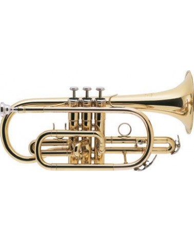 Corneta J.Michael CT420 Lacada