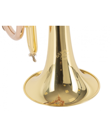 Corneta J.Michael CT420 Lacada