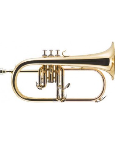 Fliscorno J.Michael FG500