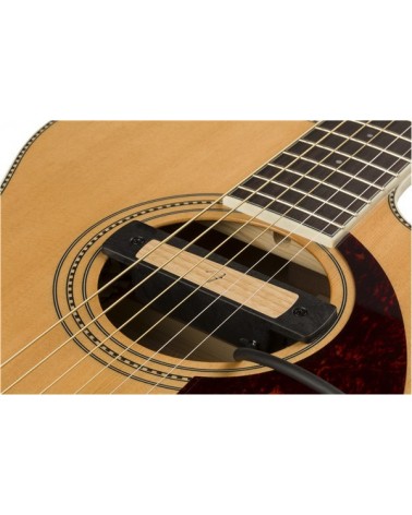 CYPRESS ACOUSTIC PICKUP, SC NAT