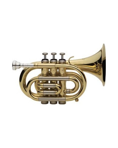 Trompeta de Bolsillo J.Michael TR350 Sib