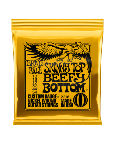 Ernie Ball Skinny Top Beefy Bottom Slinky Guitar Strings 10-54 2216