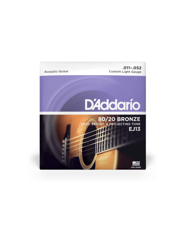 D'Addario EJ13