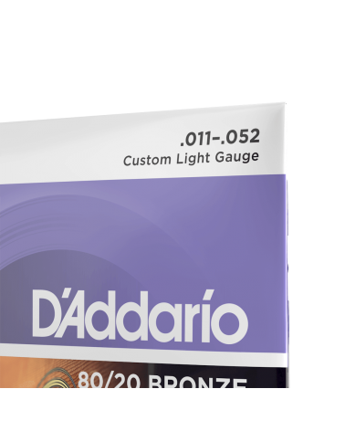 D'Addario EJ13