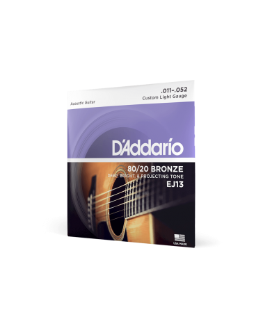 D'Addario EJ13