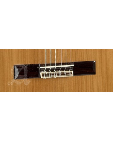 ALHAMBRA 3C CW FISHMAN E1