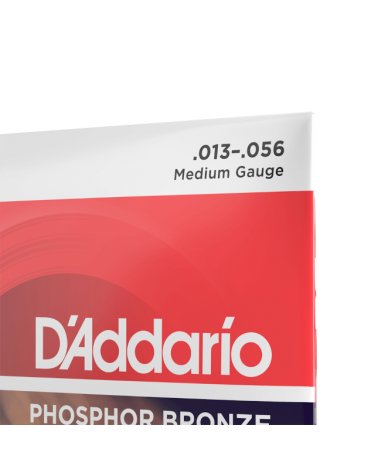 D'Addario EJ17