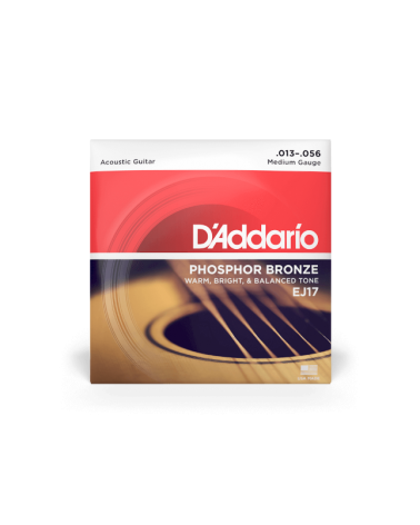 D'Addario EJ17