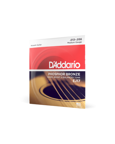 D'Addario EJ17