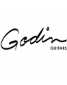 Godin